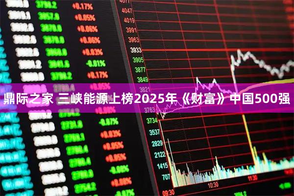 鼎际之家 三峡能源上榜2025年《财富》中国500强