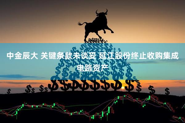 中金辰大 关键条款未谈妥 延江股份终止收购集成电路资产
