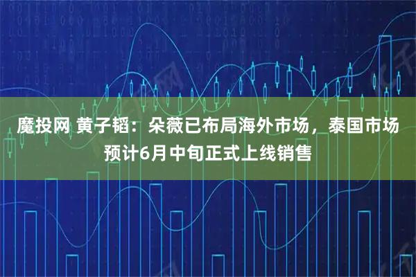 魔投网 黄子韬：朵薇已布局海外市场，泰国市场预计6月中旬正式上线销售